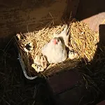 Agroturystyka Na Gorce Фермерский дом