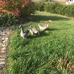 Фермерский дом Agroturystyka Na Gorce Nowa Wies Malborska