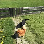 Agroturystyka Na Gorce