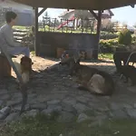 Agroturystyka Na Gorce