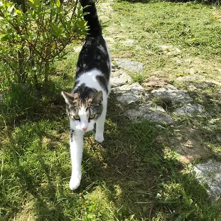 Na Gorce Vakantieboerderij *