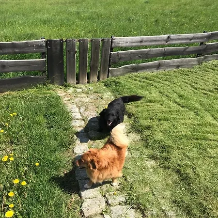 Agroturystyka Na Gorce