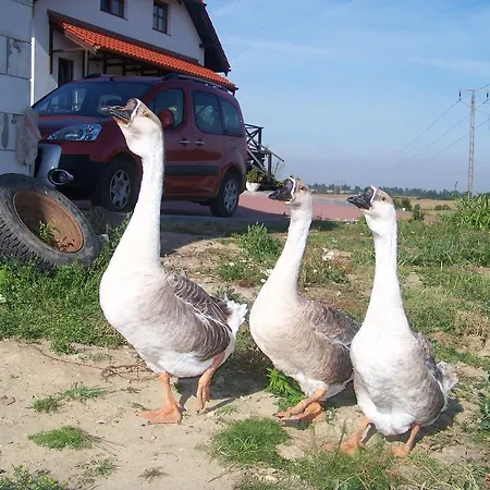 Agroturystyka Na Gorce Nowa Wies Malborska