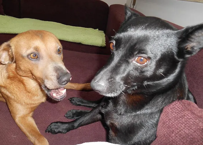 Farmház Na Gorce Nowa Wies Malborska